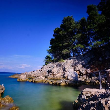 Vila Vita Donje Selo na Šolti Екстериор снимка