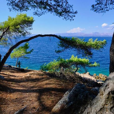 Vila Vita Donje Selo na Šolti Екстериор снимка