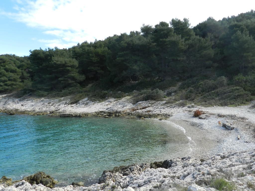 Vila Vita Donje Selo na Šolti Екстериор снимка